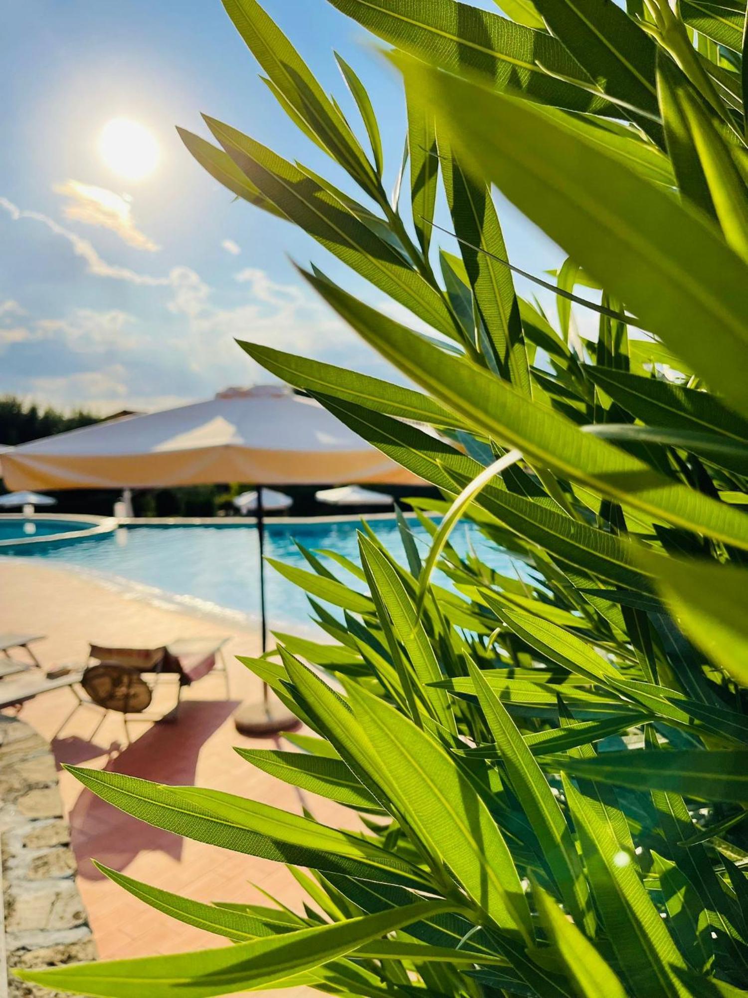 Appartamento Gardagate - Borgo Del Torchio Manerba del Garda Esterno foto